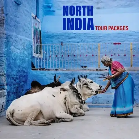 North India thumb